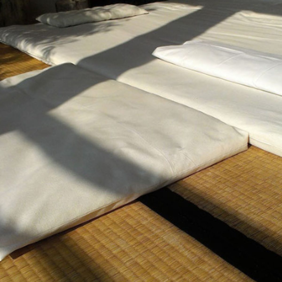 26 Matte Neus Format